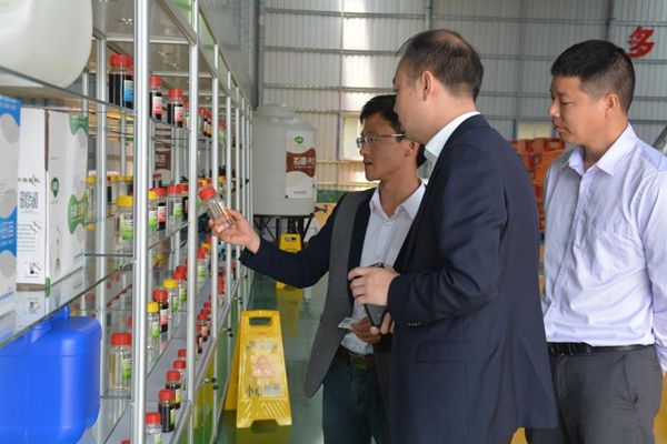 168体育app官方下载