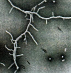 鍥剧墖4.png 鍥剧墖4.png