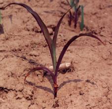 缂虹7.jpg 缂虹7.jpg