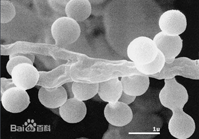 鍥剧墖2.png 鍥剧墖2.png