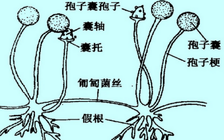 鍥剧墖3.png 鍥剧墖3.png