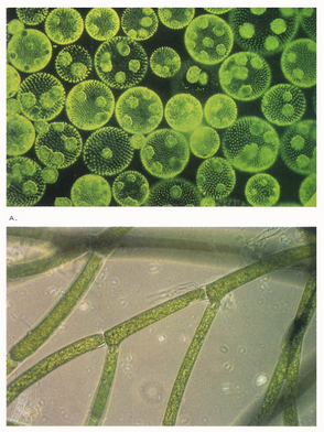 鍥剧墖4.png 鍥剧墖4.png