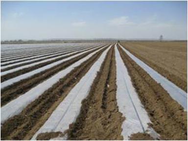 鍥剧墖2.jpg 鍥剧墖2.jpg