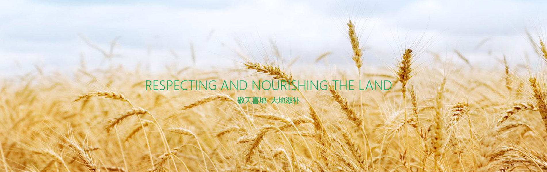 168体育app官方下载