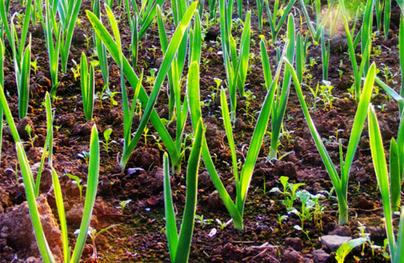 168体育app官方下载