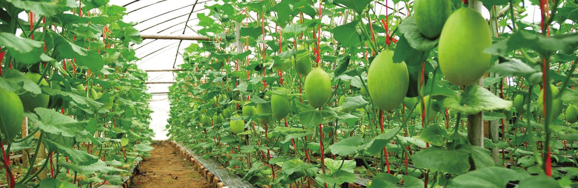 168体育app官方下载