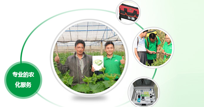 农化服务
