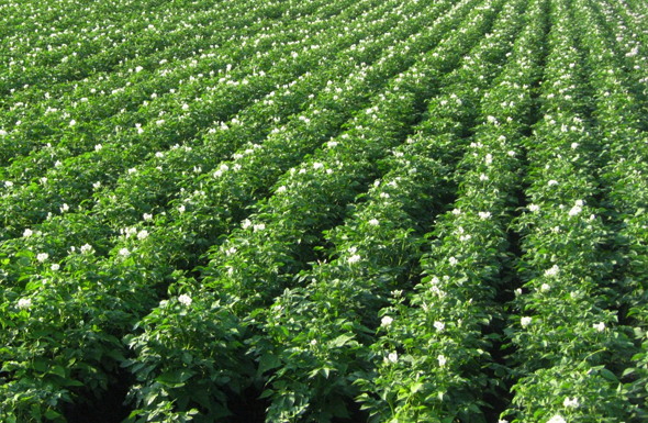 168体育app官方下载